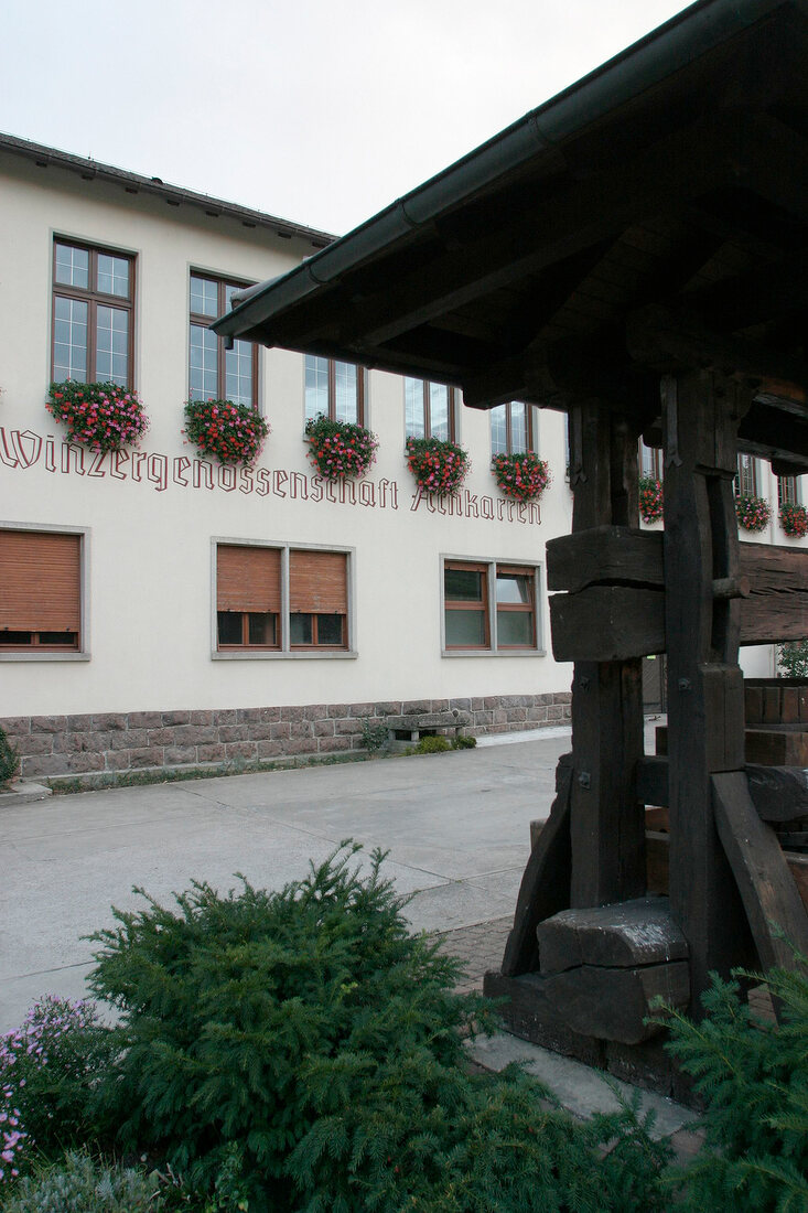 WG Achkarren Winzergenossenschaft Weingut in Vogtsburg Baden-Württemberg