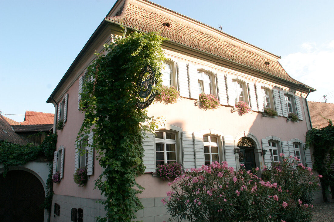 Bercher Weingut in Vogtsburg Baden-Württemberg