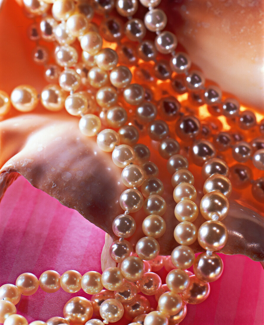 Perlenkette Perlen Kette Halskette Schmuck Muschel Luxus Juwelen Edel