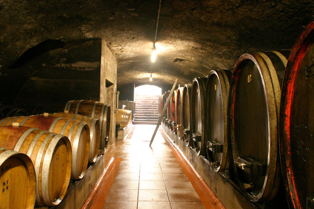 Graf Wolff Metternich Weingut mit Weinverkauf Vinothek und Gästezimmer Gaestezimmer in Durbach