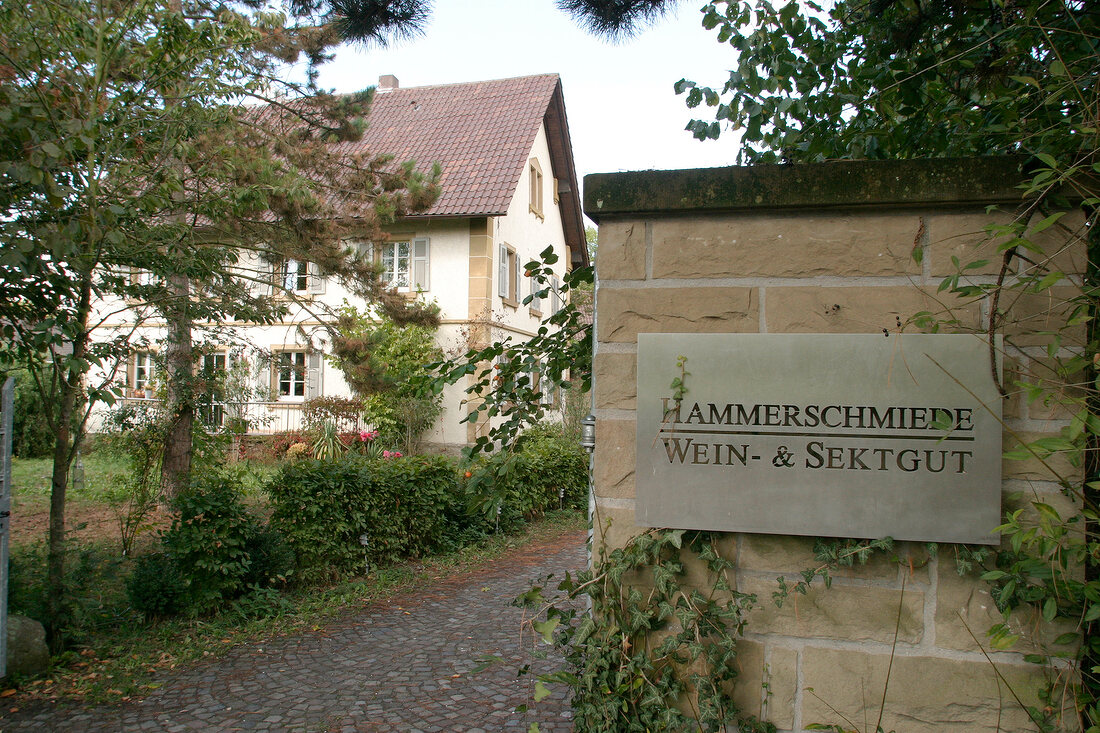 Hammerschmiede Wein- und Sektgut Weingut mit Besenwirtschaft in Ubstadt-Weiher Ubstadt Weiher