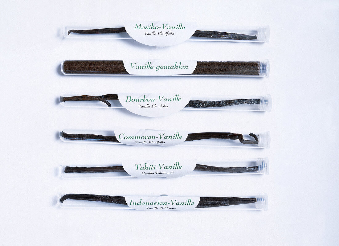 Different varieties of vanilla beans in glass vials on white background