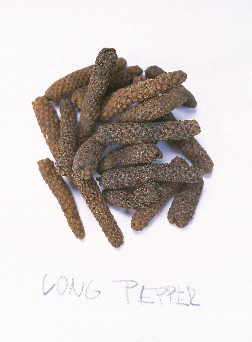 Langer Pfeffer, Long Pepper X 