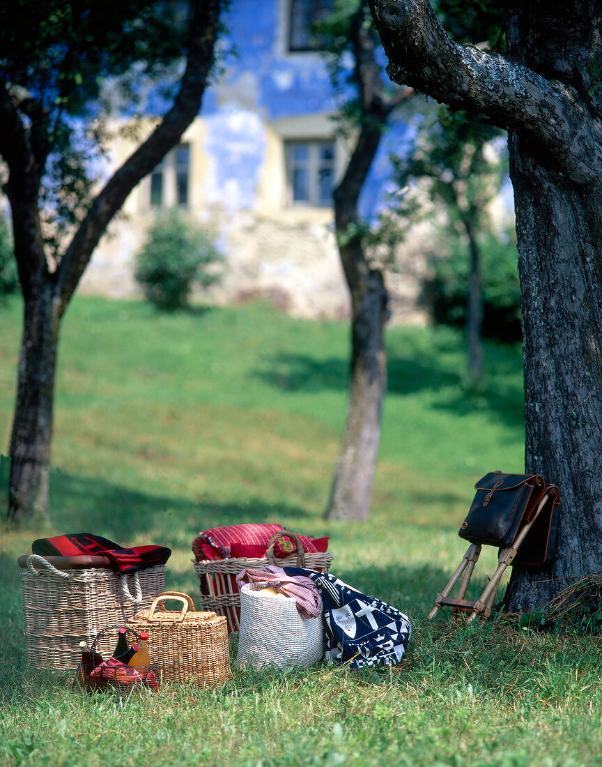 Various picnic baskets and bags in grass under trees