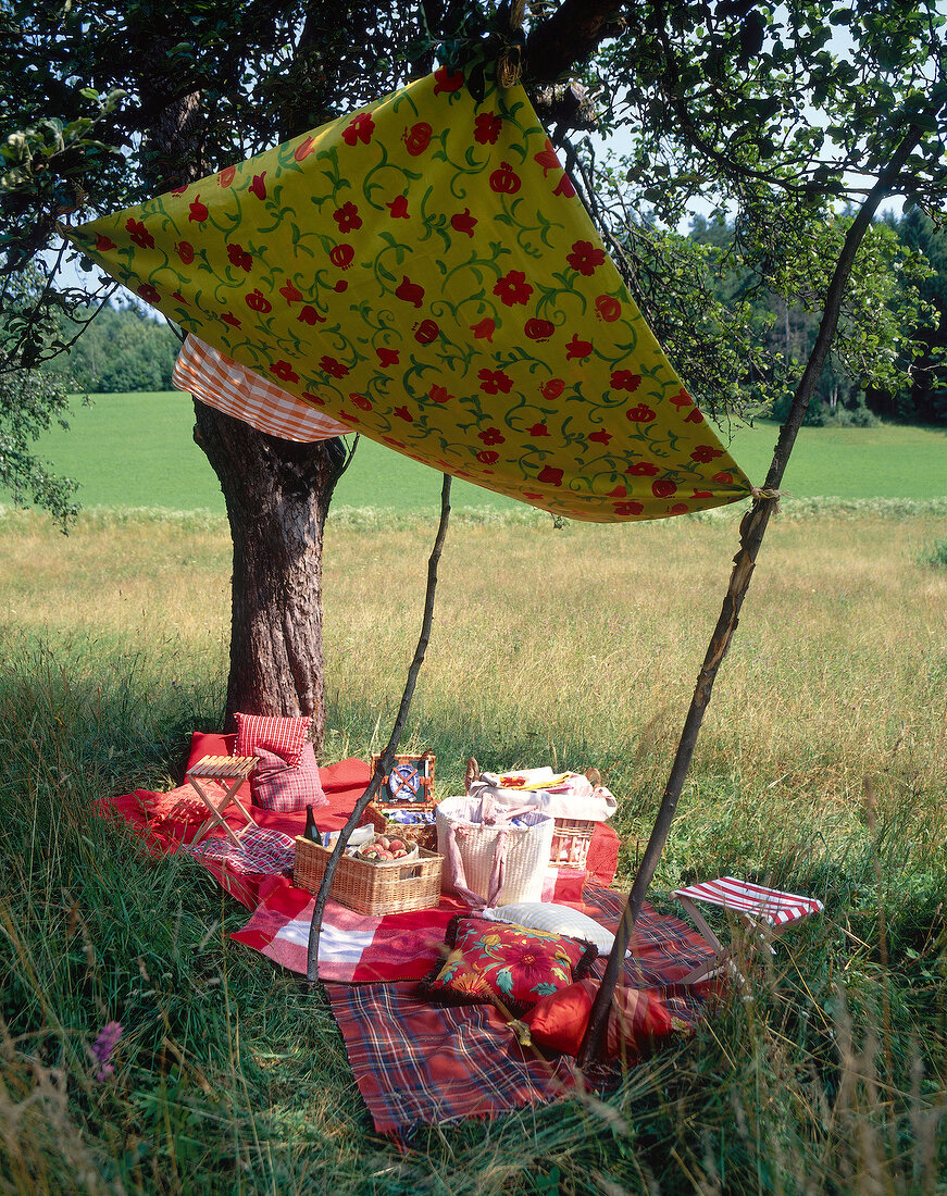 Picnic set up in garden with cushions, blanket and baskets with food