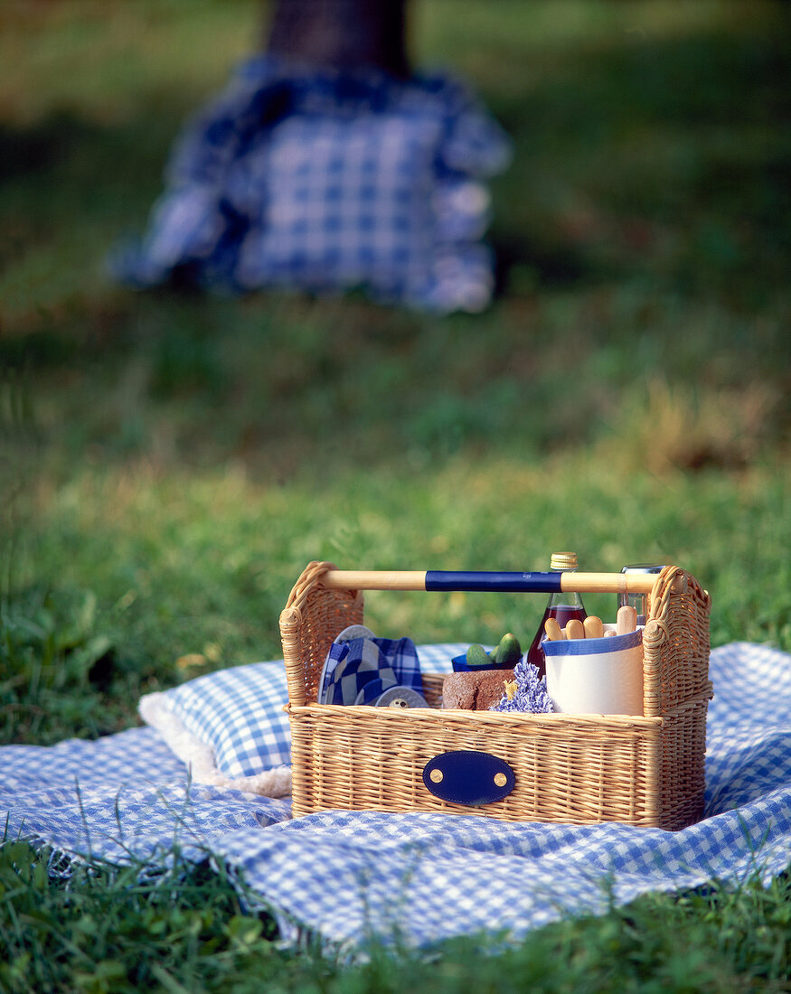 Picknickkorb auf blau-weiß karierter Decke im Gras
