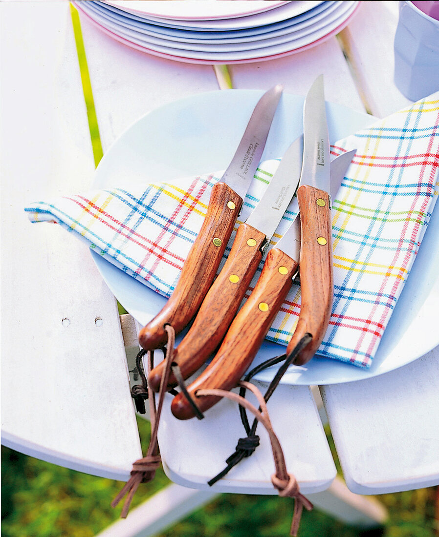 Scharfe Messer für Steaks, Steakmesser