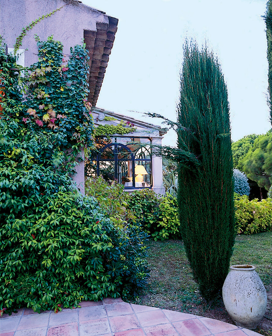 Wilder Wein rankt an der Fassade einer Villa mit Wintergarten