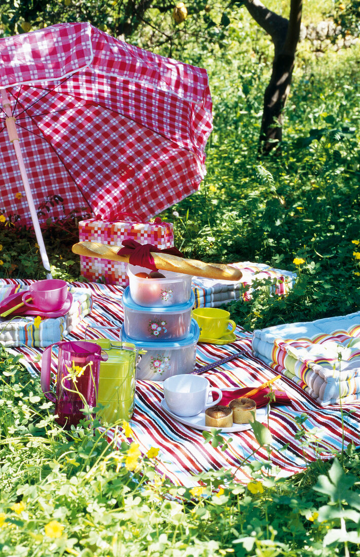 Picnic set up in garden with umbrella, picnic blanket, storage boxes and pillows