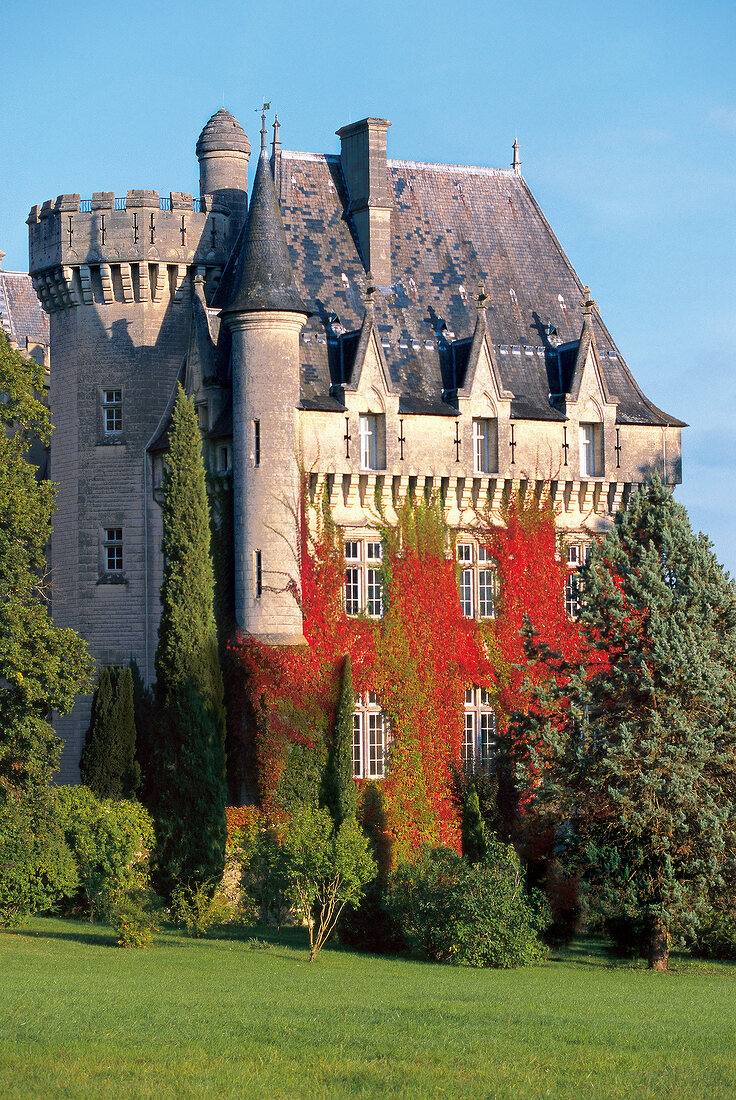 View of Chateau Pitray, France