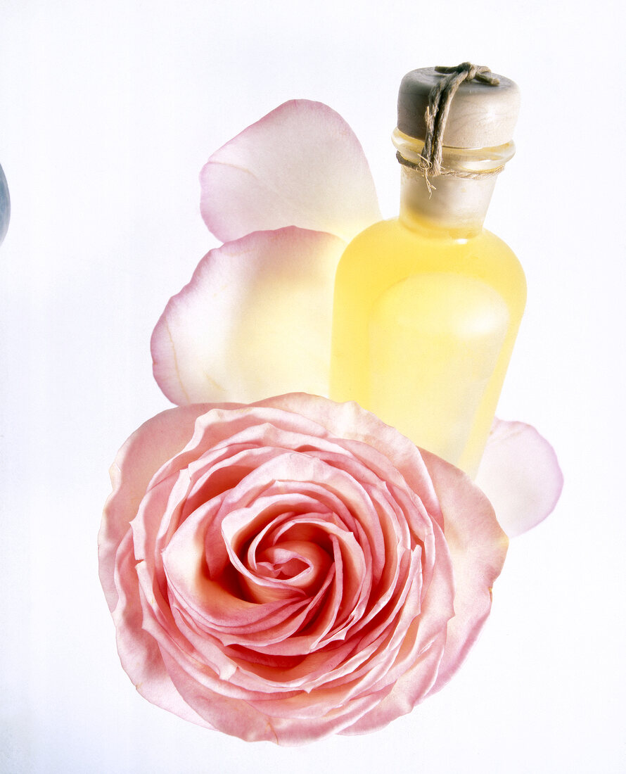 Close-up of bottle with rose oil and pink rose against white background