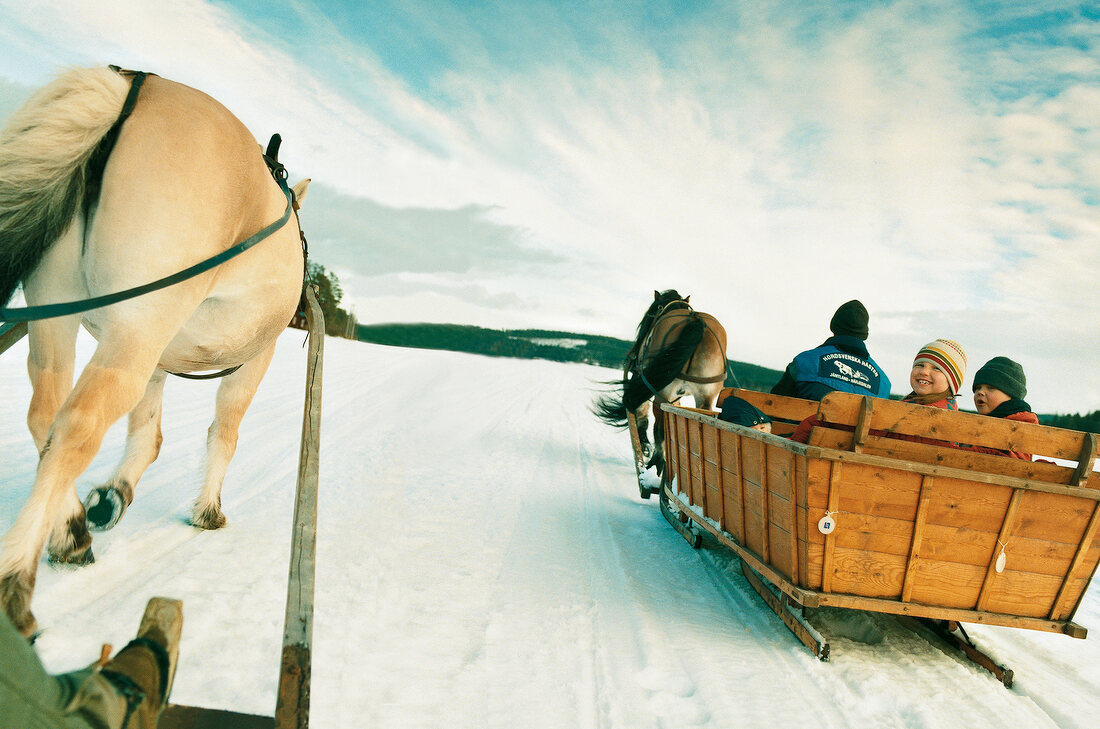 Children in horse drawn sleigh in snow, Lapland, Sweden
