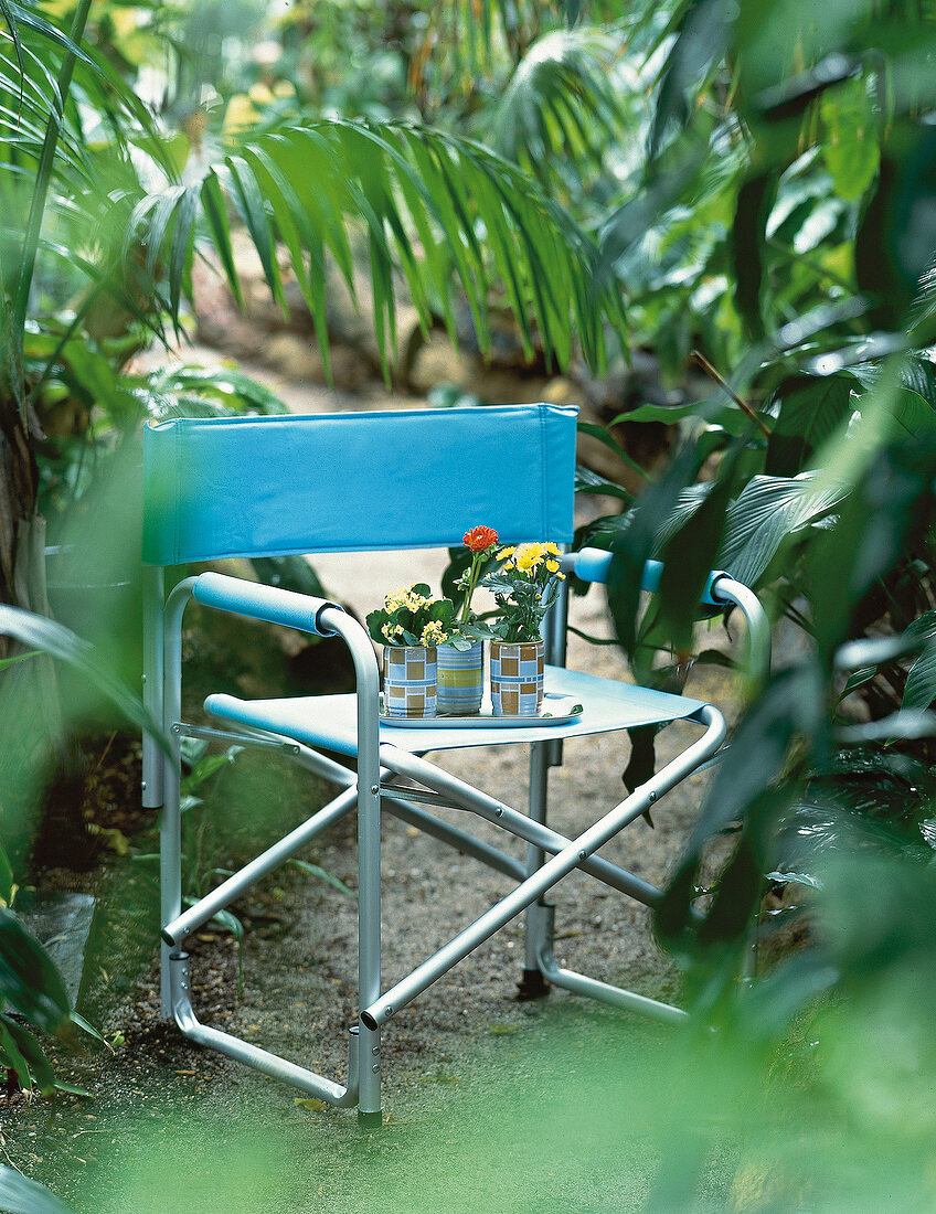 blauer Gartenstuhl mit Topfpflanzen 