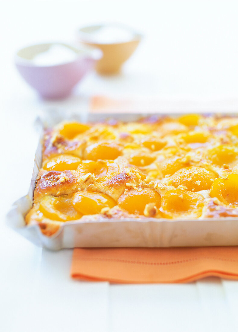 Close-up of apricot cake with walnuts on serving plate