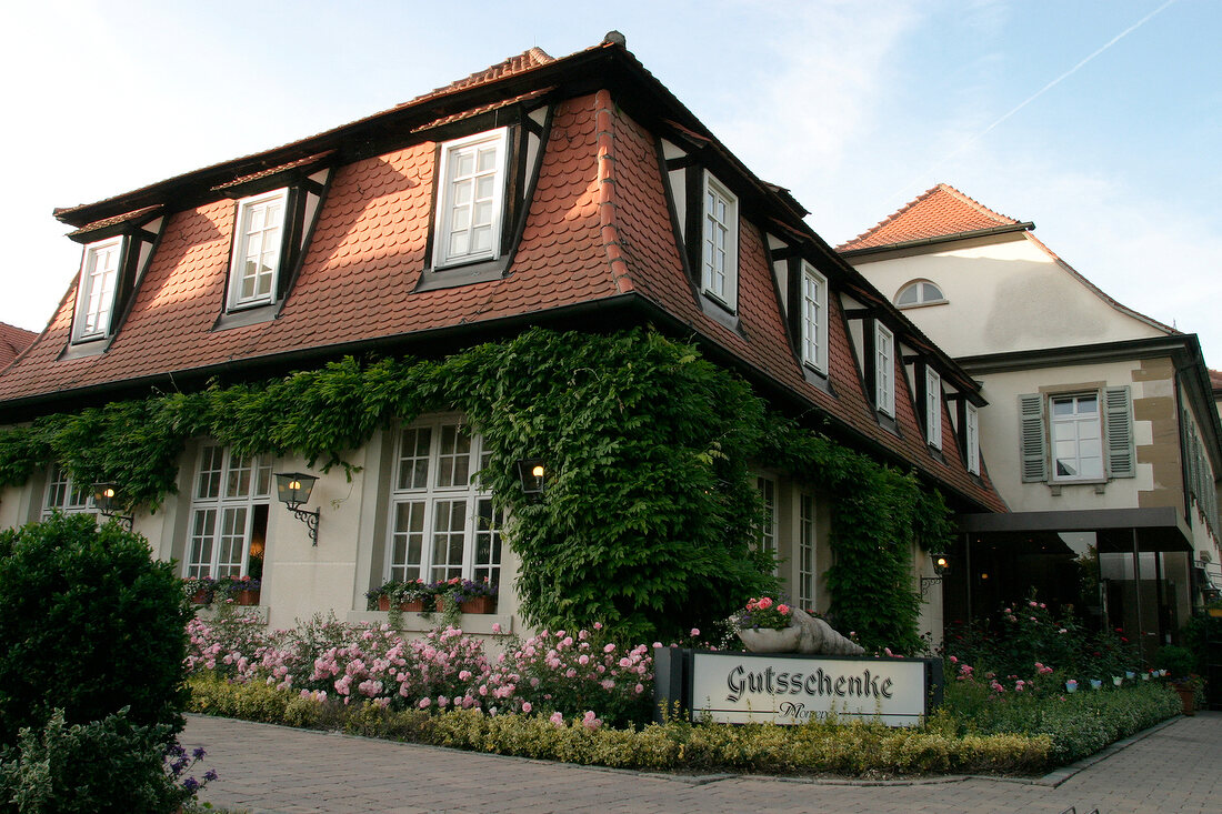 Gutsschenke Restaurant Gaststätte Gaststaette im Schlosshotel Monrepos in Ludwigsburg