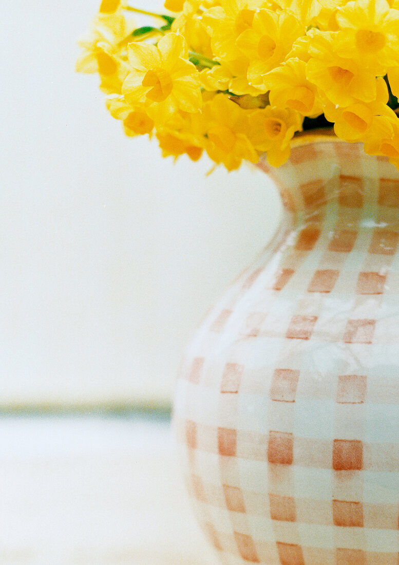 Close-up of daffodils decorated in checks flower vase