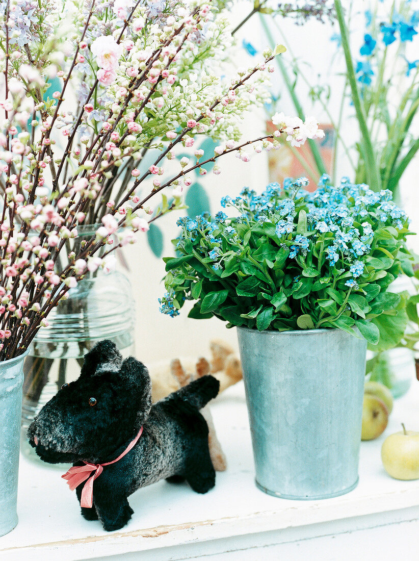 Ornamental cherry, lilac and forget-me-not in metal vase and black stuffed toy