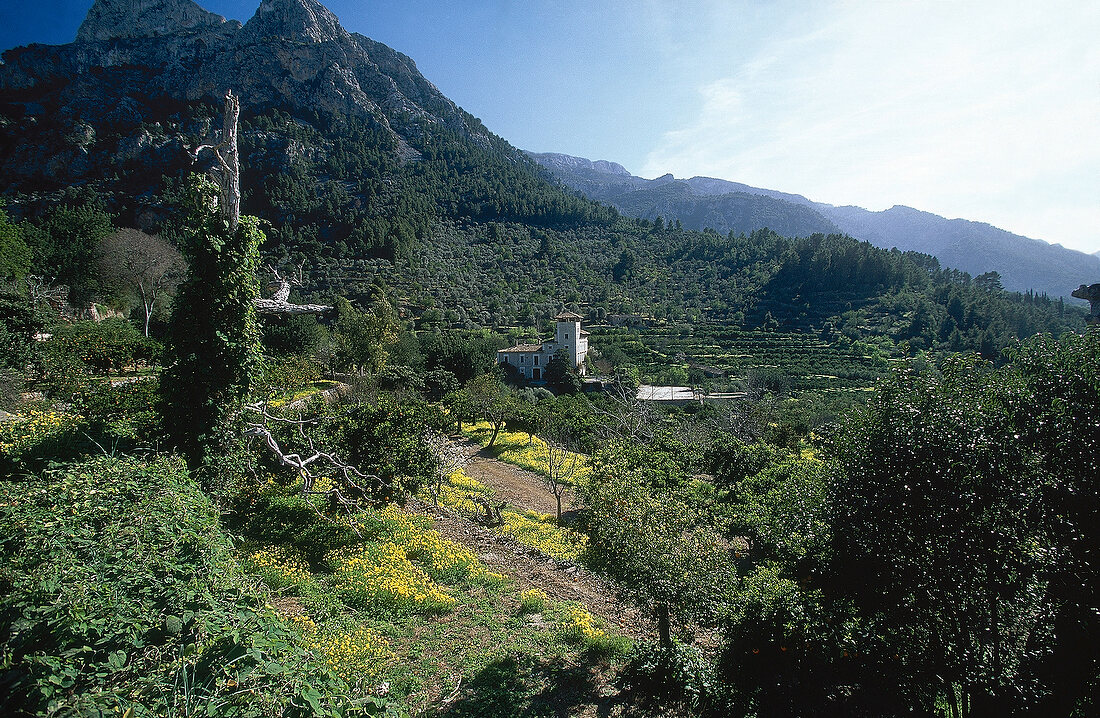 Landschaftspanorama der Sierra d'Alfabia bei Soller auf Mallorca.