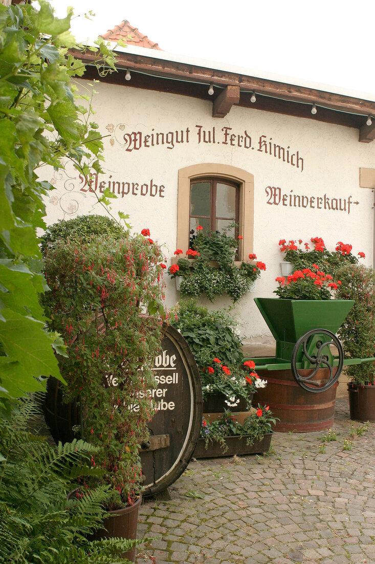 Julius Ferdinand Kimich Weingut mit Weinverkauf in Deidesheim Rheinland-Pfalz