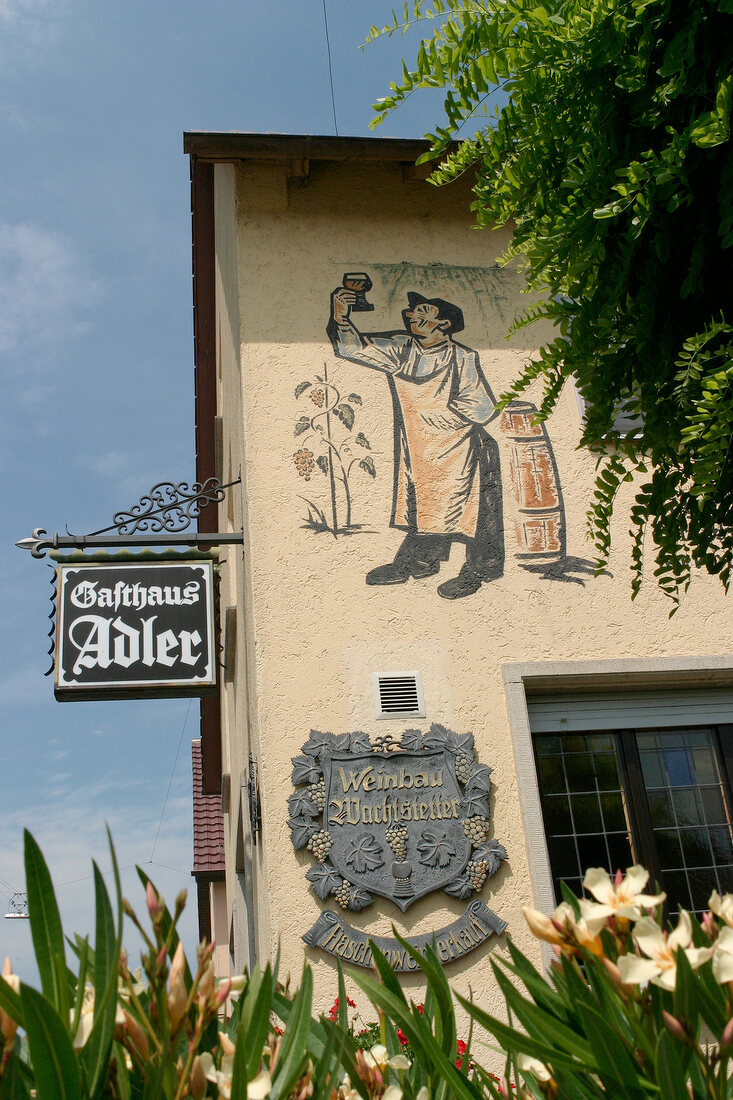 Roland Wachtstetter Weingut mit Restaurant Flaschenweinverkauf Weinverkauf in Pfaffenhofen