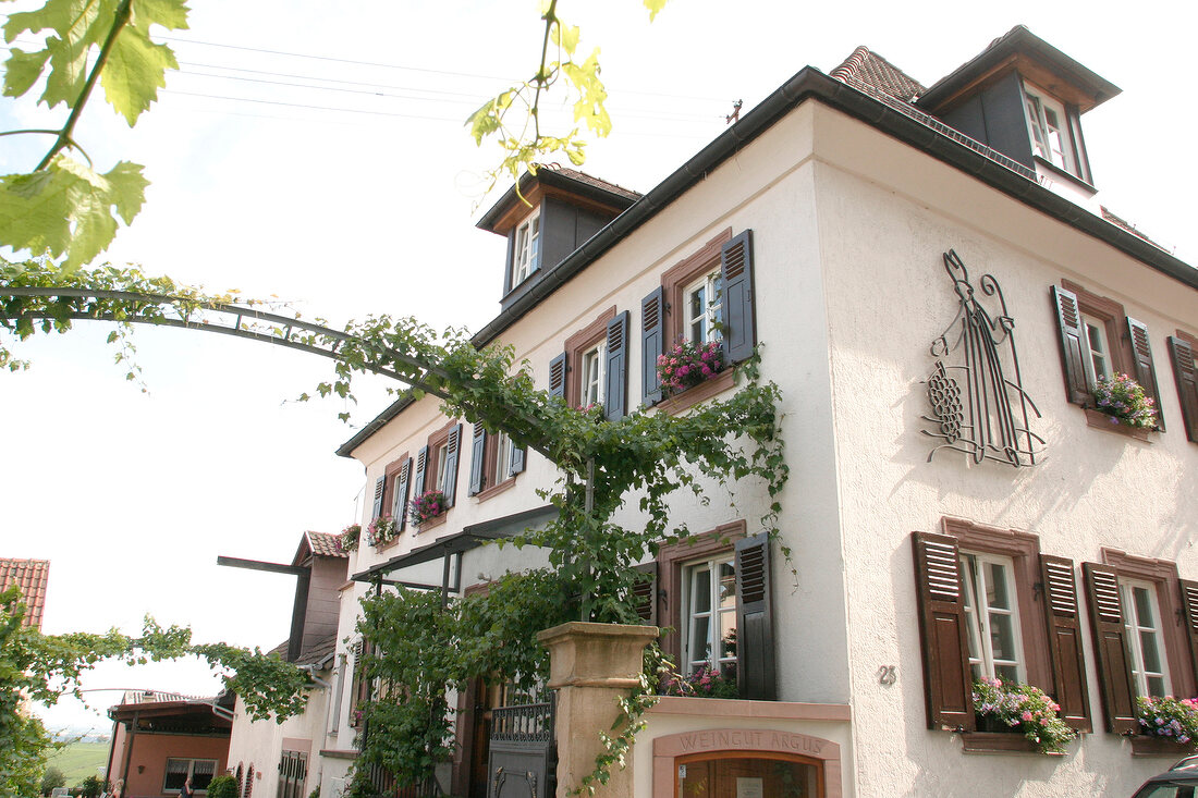 Peter Argus Weingut mit Weinverkauf in Gleisweiler Rheinland-Pfalz Rheinland Pfalz