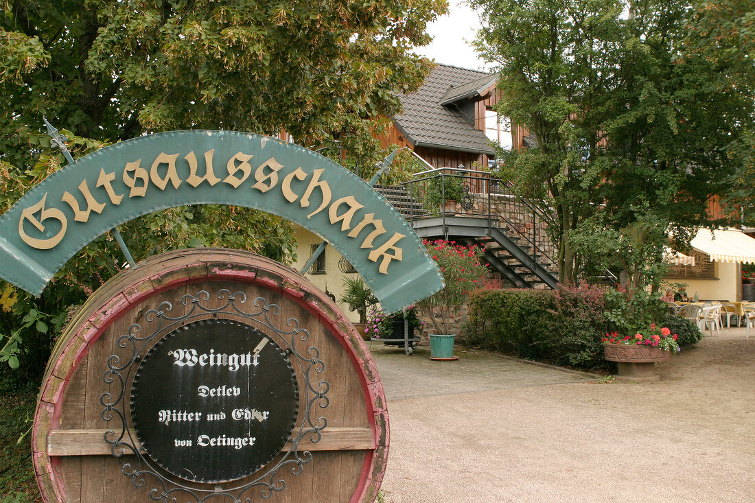 Detlev Ritter und Edler von Oetinger Weingut mit Weinverkauf Gutsausschank in Eltville Hessen