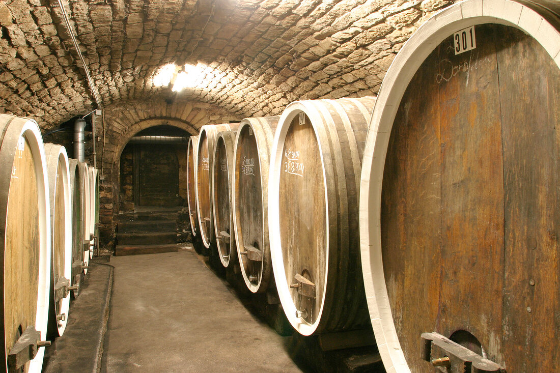 Eymann Weingut mit Weinstube Weinverkauf in Gönnheim Rheinland-Pfalz