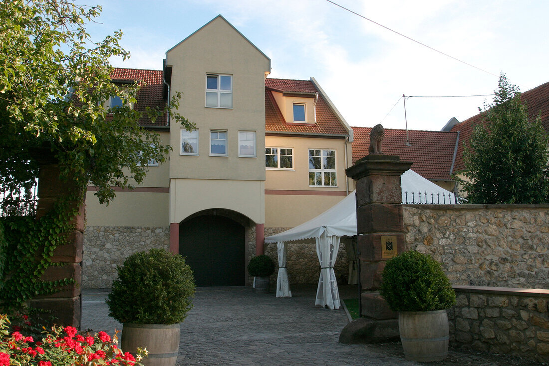 Joachim Flick Weingut mit Weinverkauf Restaurant Vinothek in Flörsheim Floersheim