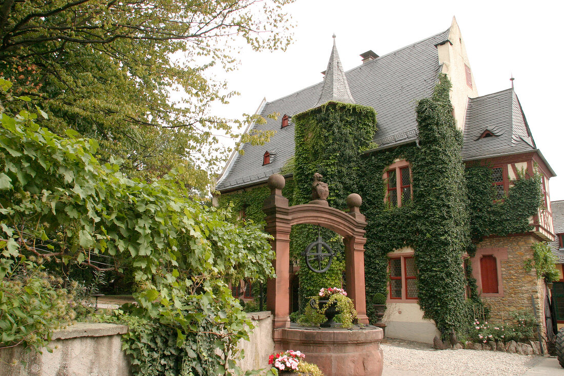 Langwerth von Simmern Weingut mit Weinverkauf in Eltville Hessen Deutschland