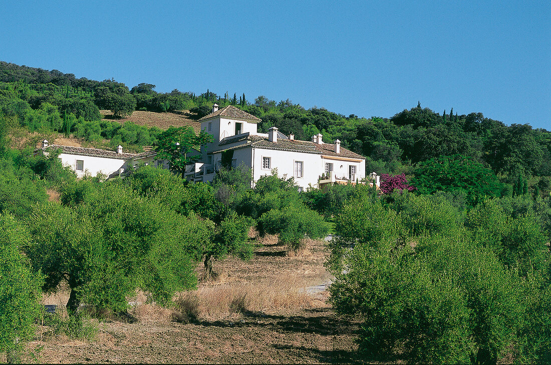 View of Hotel la Fuente de la Higuera and trees on mountain, Andalusia, Spain