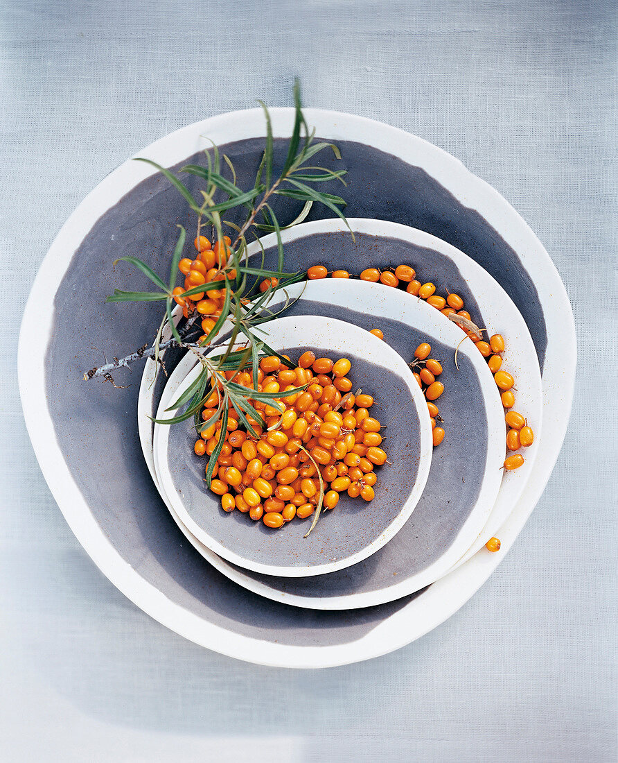 Orange sea-buckthorn berries on plates of various sizes