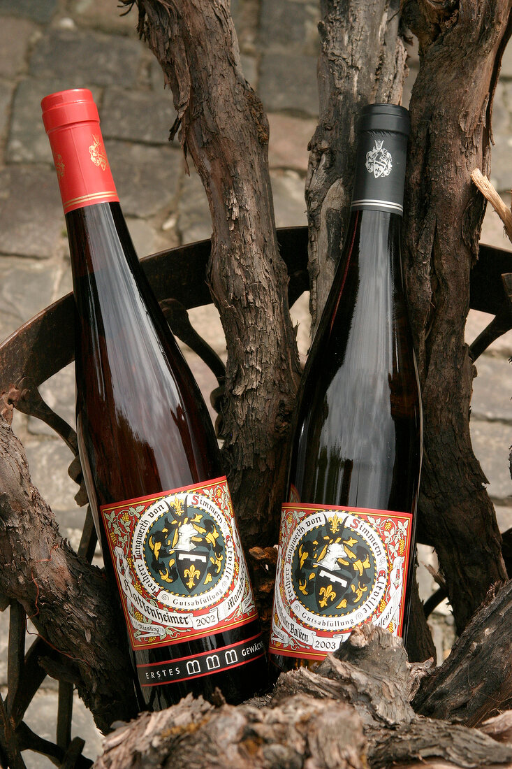 Langwerth von Simmern Weingut mit Weinverkauf in Eltville Hessen Deutschland