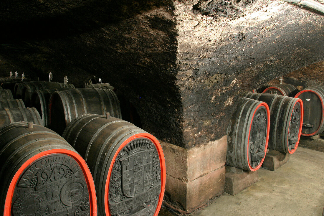 Schloss Schönborn Schloss Schönborn Weingut mit Weinverkauf in Eltville Hessen