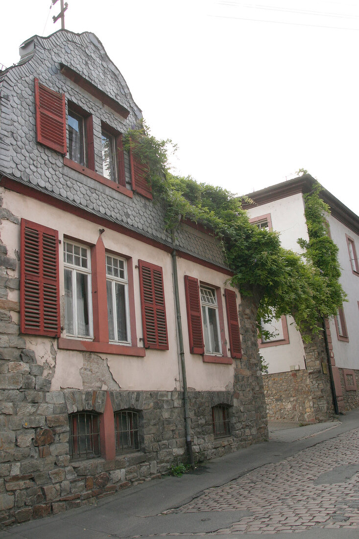 Schloss Schönborn Schloss Schönborn Weingut mit Weinverkauf in Eltville Hessen