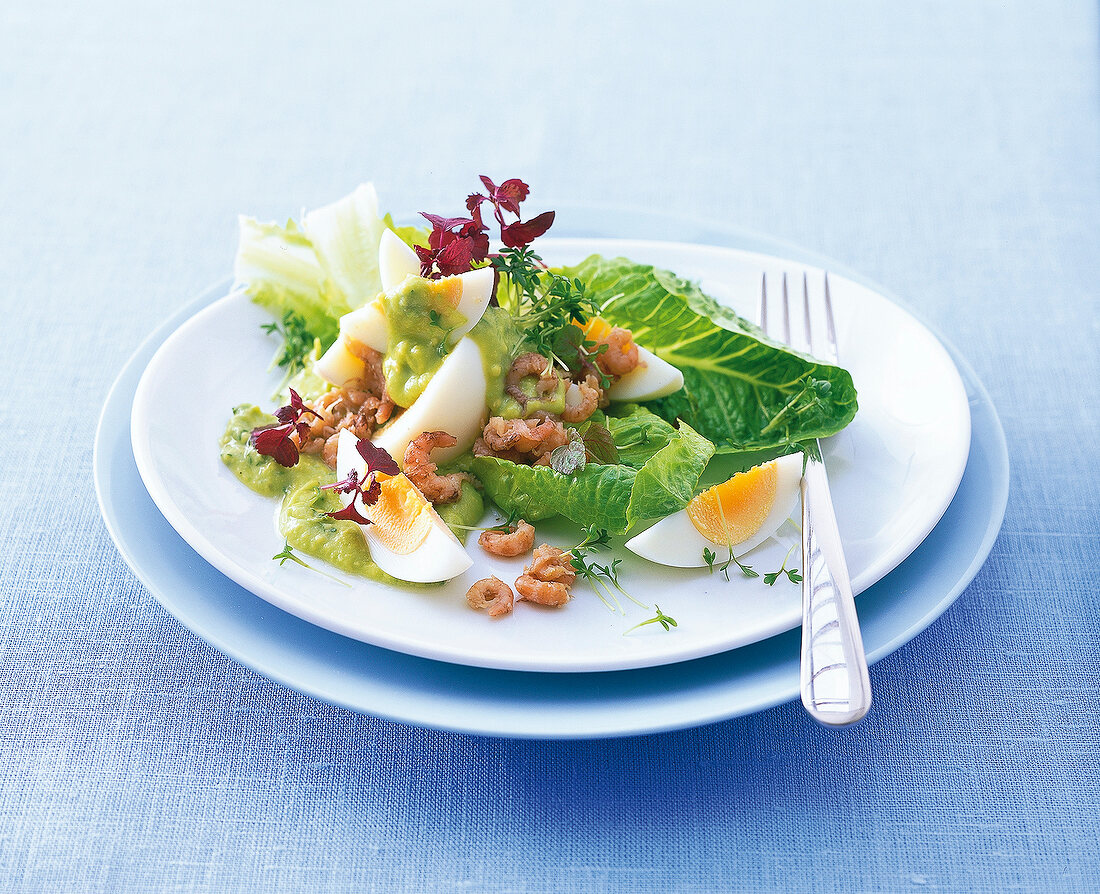 Römersalat mit Avocado-KresseDressing, … – License image – 10111726 ...