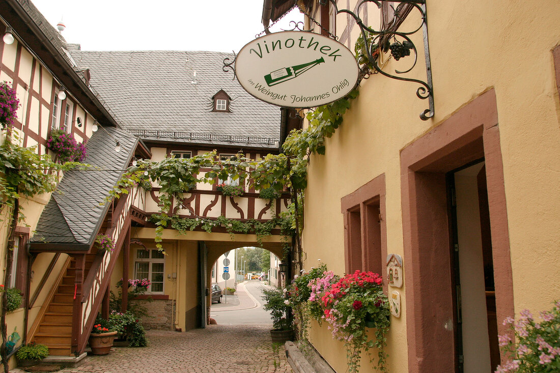 Johannes Ohlig Weingut mit Weinverkauf Vinothek Gutsausschank in Oestrich-Winkel