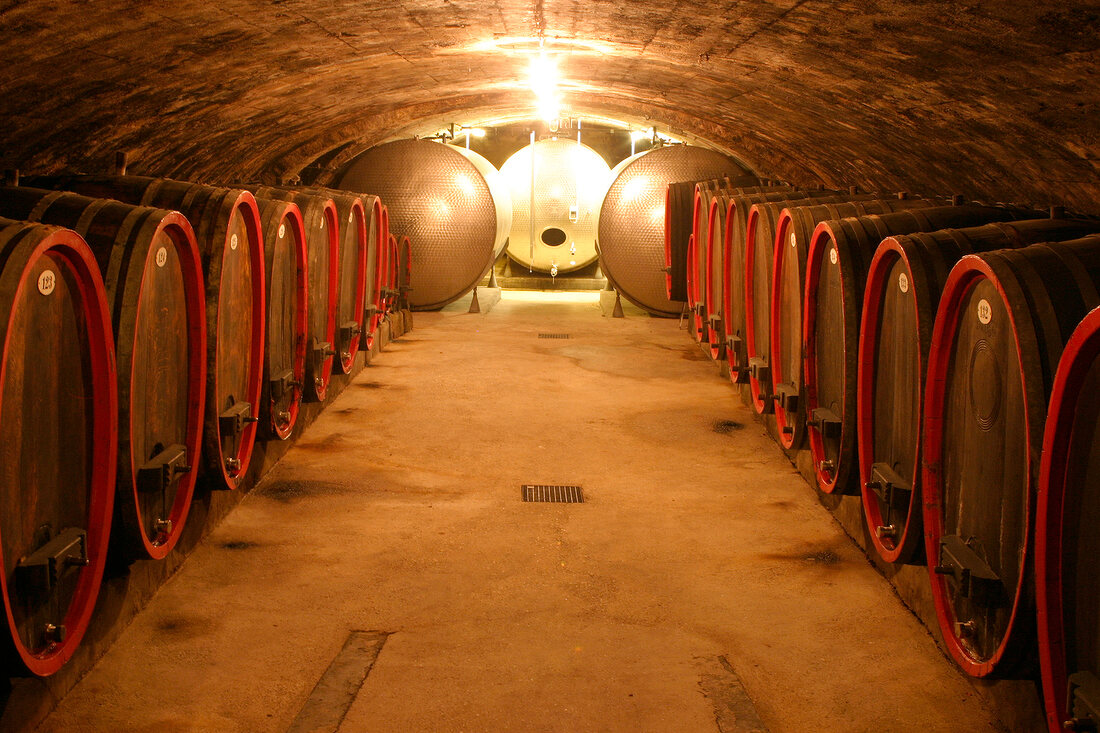 Prinz von Hessen Weingut mit Weinverkauf in Geisenheim Hessen Deutschland