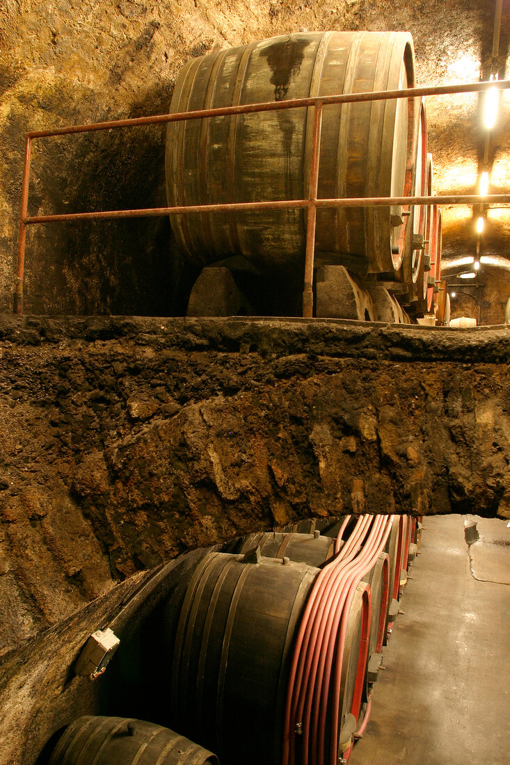 August Kesseler Weingut mit Weinverkauf in Rüdesheim am Rhein Ruedesheim am Rhein Hessen