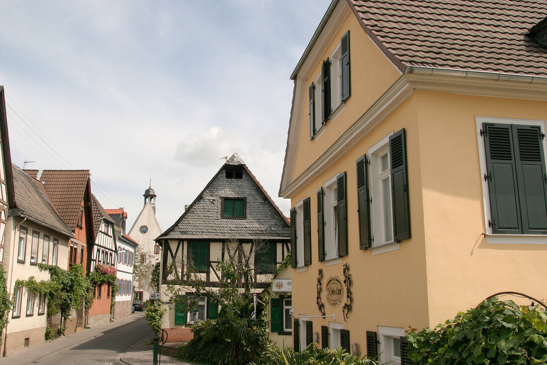 Dr Corvers-Kauter Dr. Corvers Kauter Weingut mit Weinverkauf Vinothek in Oestrich-Winkel