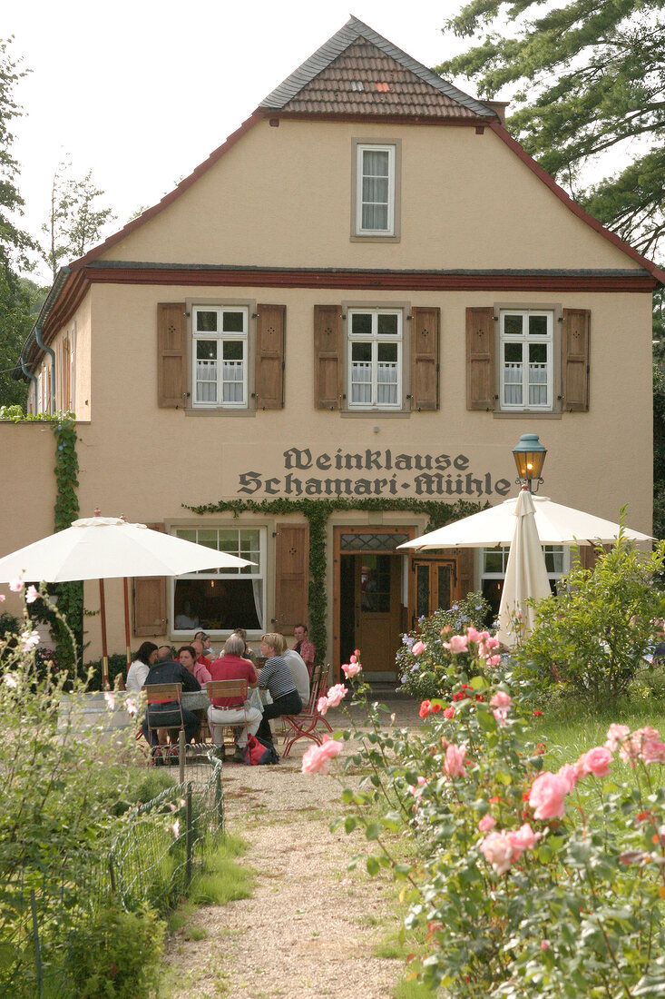 Schamari-Mühle Schamari Mühle Schamari-Muehle Weingut mit Weinverkauf