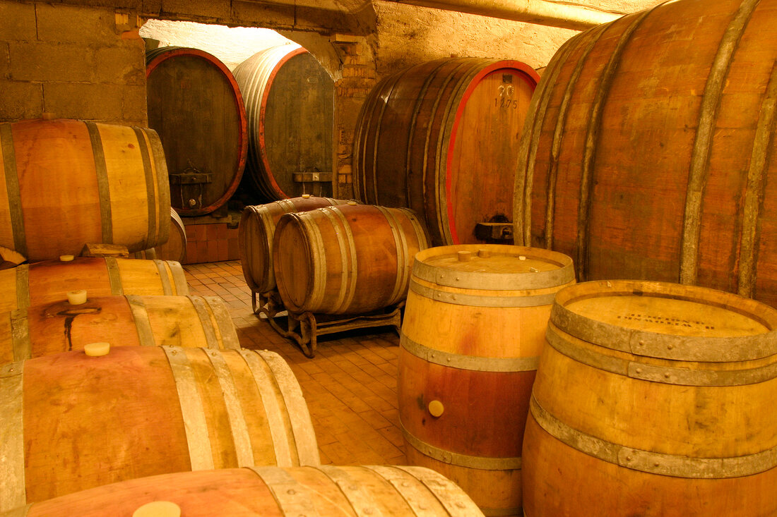 Steitz Weingut mit Weinverkauf Gästezimmer Gaestezimmer in Stein-Bockenheim