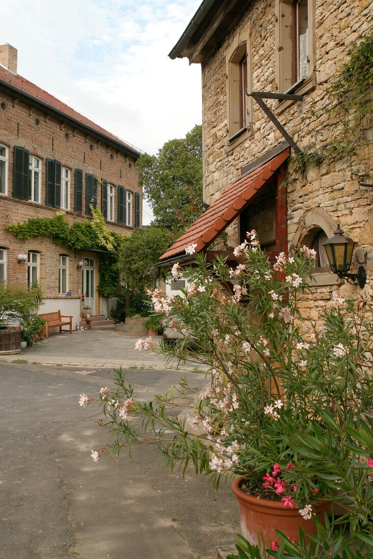 Hirschhof Weingut mit Weinverkauf in Westhofen Rheinland-Pfalz Rheinland Pfalz