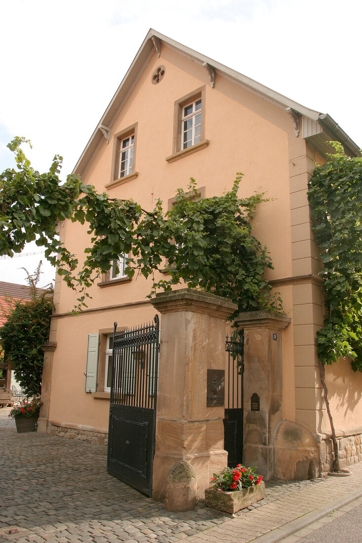 Gysler Weingut mit Weinverkauf in Alzey Rheinland-Pfalz Rheinland Pfalz