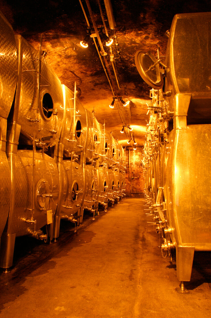 Gysler Weingut mit Weinverkauf in Alzey Rheinland-Pfalz Rheinland Pfalz