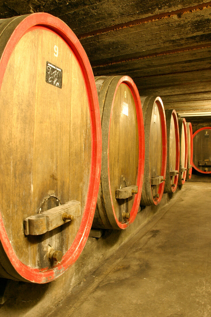 Gerhard Riffel Weingut mit Weinverkauf in Bingen Rheinland-Pfalz Rheinland Pfalz