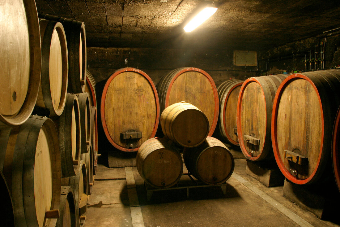 Eckhard Weitzel Weingut mit Weinverkauf in Ingelheim Rheinland-Pfalz Rheinland Pfalz