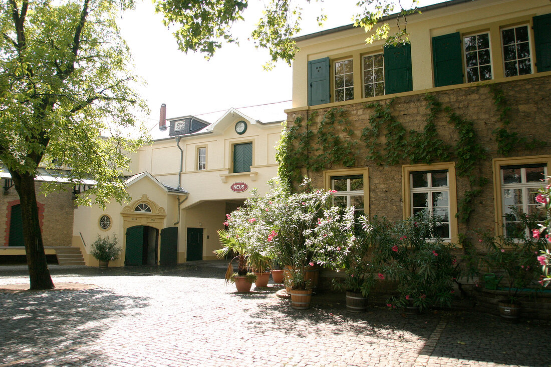 J Neus Weingut mit Weinverkauf in Ingelheim Rheinland-Pfalz Rheinland Pfalz