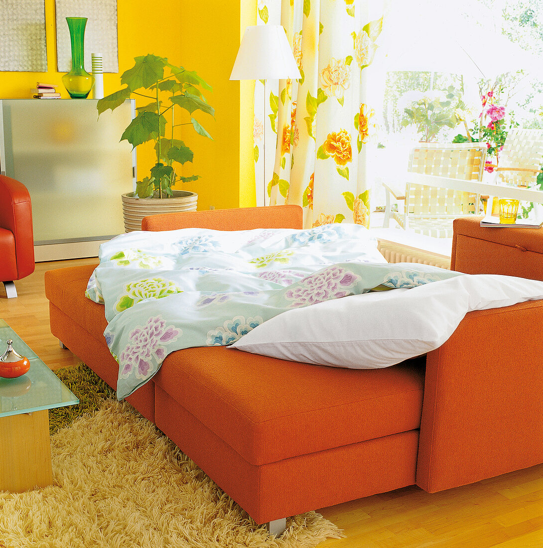 Living room with folding sofa bed with pillow and blanket