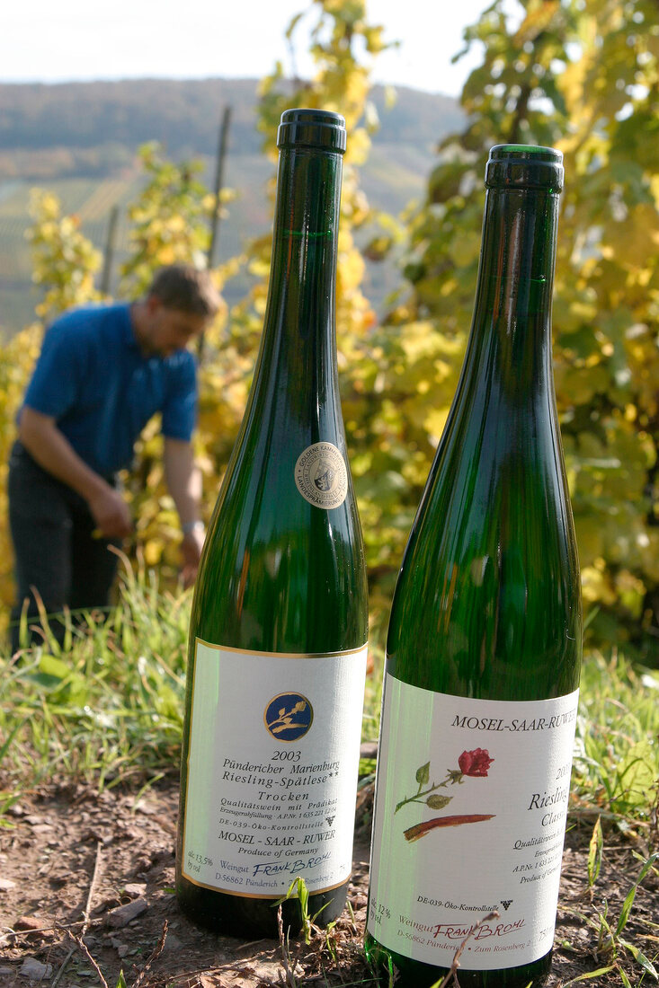 Frank Brohl Weingut mit Weinverkauf in Pünderich Puenderich Rheinland-Pfalz