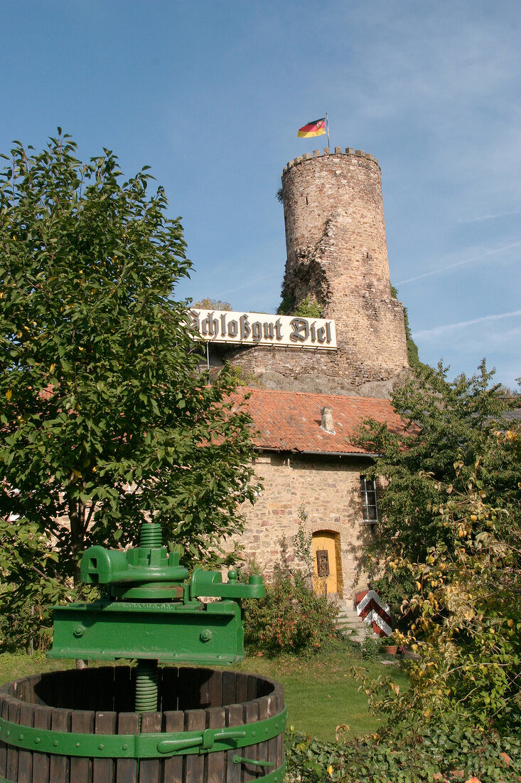 Schlossgut Diel Weingut mit Weinverkauf Vinothek in Rümmelsheim Ruemmelsheim